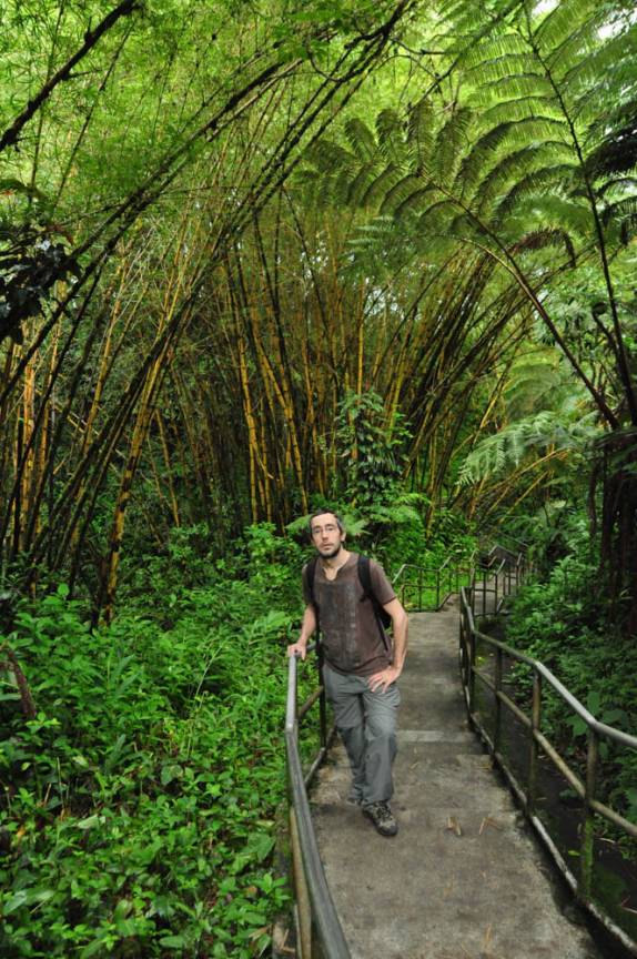 Depois de tanto tempo, de volta à vegetação tropical, na região de Hilo, na Big Island, no Hawaii